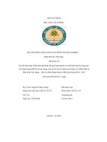 PHÂN TÍCH TÌNH HÌNH KẾT QUẢ KINH DOANH VÀ PHÂN TÍCH TÌNH HÌNH SINH LỜI RÒNG CỦA VỐN KINH DOANH CỦA CÔNG TY CỔ PHẦN ĐẦU TƯ PHÁT TRIỂN XÂY DỰNG - HỘI AN GIAI ĐOẠN 2016 – 2017 