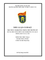 MARKETING TRONG MÔI TRƯỜNG SỐ - PHÂN TÍCH CHIẾN LƯỢC TRUYỀN THÔNG LAVIE KỲ QUAN TRONG CHAI