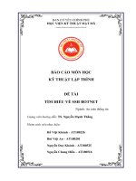 báo cáo môn học kỹ thuật lập trình đề tài tìm hiểu về ssh botnet