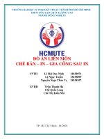 đồ án liên môn chế bản in gia công sau in