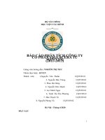 Báo Cáo Phân Tích Công Ty Cổ Phần Viglacera Từ Sơn(Vts) (2011-2013).Pdf
