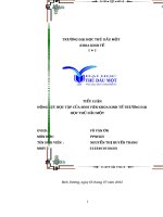 tiểu luận động lực học tập của sinh viên khoa kinh tế trường đại học thủ dầu một