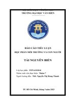 tiểu luận học phần môi trường và con người tài nguyên biển