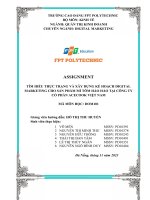 tìm hiểu thực trạng và xây dựng kế hoạch digital marketing cho sản phẩm mì tôm hảo hảo tại công ty cổ phần acecook việt nam