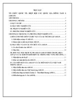 nhằm phân tích cụ thể về tổ chức quốc tế hiệp hội các quốc gia đông nam á asean và đánh giá quá trình hòa nhập và phát triển của việt nam