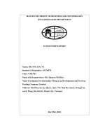 internship report phong lan development and services trading company limited