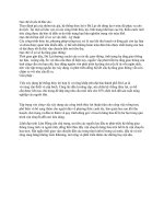 Yếu tố giải pháp