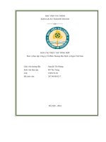 báo cáo thực tập tổng hợp công ty cổ phần thương mại dịch vụ ngon việt nam