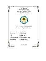 báo cáo thực tập tốt nghiệp tập đoàn bitexco