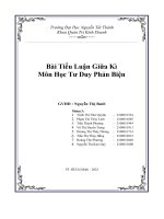 Bài tiểu luận:Tư duy phản biện