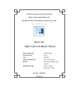 báo cáo thực tập cán bộ kỹ thuật công ty cổ phần metaway tech