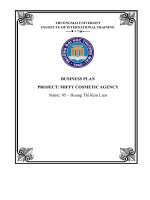 business plan project miffy cosmetic agency