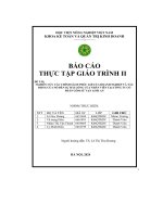 báo cáo thực tập giáo trình ii nghiên cứu các chính sách phúc lợi của doanh nghiệp và tác động của nó đến sự hài lòng của nhân viên tại công ty cổ phần gốm sứ vạn linh an