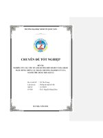 Chuyên đề thực tập tốt nghiệp: Nghiên cứu các yếu tố ảnh hưởng đến hành vi mua hàng ngẫu hứng trên các trang thương mại điện tử của người tiêu dùng trẻ (gen Z)