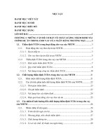 Chuyên đề thực tập tốt nghiệp: Nâng cao chất lượng thẩm định tài chính dự án trong cho vay tại Ngân hàng thương mại cổ phần Sài Gòn Thương Tín chi nhánh Nghệ An
