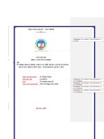 Chuyên đề thực tập tốt nghiệp: Hoàn thiện hoạt động cho vay tiêu dùng tại Ngân hàng Thương mại Cổ phần Bưu điện Liên Việt – PGD Hoàng Quốc Việt