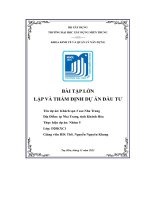 bài tập lớn lập và thẩm định dự án đầu tư khách sạn 3 sao nha trang