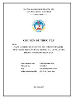 Chuyên đề thực tập: Nâng cao hiệu quả cho vay đối với doanh nghiệp vừa và nhỏ tại ngân hàng thương mại cổ phần Tiên Phong – chi nhánh Hoàn Kiếm