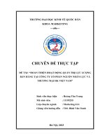 Chuyên đề thực tập: Hoàn thiện hoạt động quản trị lực lượng bán hàng tại Công ty CP nguồn nhân lực và thương mại HK Việt Nam