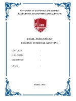 Bài tập lớn Kiểm Toán Nội Bộ, Đại học Kinh Tế - Đại học Quốc Gia Hà Nội