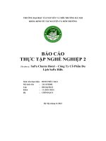 báo cáo thực tập nghề nghiệp 2 sapa charm hotel công ty cổ phần du lịch sapa hills