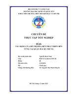 Chuyên đề thực tập tốt nghiệp: Tác động của đô thị hóa đến phát triển bền vững tại quận Hai Bà Trưng