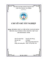 Chuyên đề tốt nghiệp: Mở rộng cho vay tiêu dùng tại ngân hàng thương mại cổ phần Công thương Việt Nam – chi nhánh Bắc Ninh