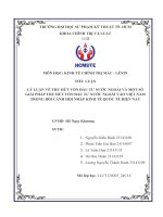 LÝ LUẬN VỀ THU HÚT VỐN ĐẦU TƯ NƯỚC NGOÀI VÀ MỘT SỐ GIẢI PHÁP THU HÚT VỐN ĐẦU TƯ NƯỚC NGOÀI VÀO VIỆT NAM TRONG BỐI CẢNH HỘI NHẬP KINH TẾ QUỐC TẾ HIỆN NAY