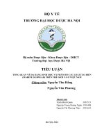 TIỂU LUẬN TỔNG QUAN VỀ ĐA DẠNG SINH HỌC VÀ PHÂN BỐ CÁC LOÀI TẢO BIỂN (MARINE SEAWEAD) TRÊN THẾ GIỚI VÀ Ở VIỆT NAM