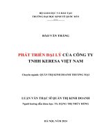 phát triển đại lý của công ty tnhh keresa việt nam