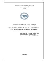 Chuyên đề thực tập tốt nghiệp: Phân tích cảm xúc của người dùng trên trang Thương mại điện tử Foody