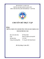 Chuyên đề thực tập: Những nhân tố ảnh hưởng tới giá bất động sản thành phố Hà Nội