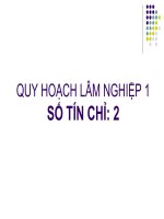 Bài Giảng Quy Hoạch Lâm Nghiệp 1 ( Combo Full Slides 5 Chương )