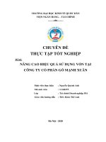 Chuyên đề thực tập tốt nghiệp: Nâng cao hiệu quả sử dụng vốn tại công ty cổ phần gỗ Mạnh Xuân