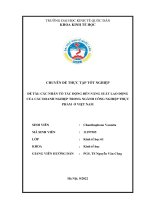 Chuyên đề thực tập tốt nghiệp: Các nhân tố tác động đến năng suất lao động của các doanh nghiệp trong ngành công nghiệm thực phẩm ở Việt Nam
