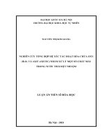 Luận án tiến sĩ hóa học: Nghiên cứu tổng hợp hệ xúc tác hoạt hóa chứa oxy (H2O2 và axit axetic) nhằm xử lý một số chất màu trong nước thải dệt nhuộm