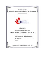 tiểu luận môn văn hóa đa quốc giađề tài tìm hiểu và giới thiệu về nước mỹ