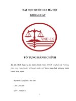 Tiểu luận: Bình luận vụ án hành chính: Kiện CSGT vì phạt mà “không cho xem chuyên đề, kế hoạch tuần tra” theo pháp luật tố tụng hành chính hiện hành