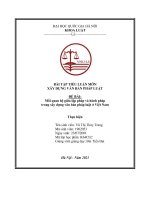 Tiểu luận: Mối quan hệ giữa lập pháp và hành pháp trong xây dựng văn bản pháp luật ở Việt Nam