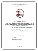 Tiểu luận: Phân tích các biện pháp kiểm soát tài sản, thu nhập của người có chức vụ, quyền hạn ở Việt Nam hiện nay. Đề xuất các giải pháp nâng cao hiệu quả biện pháp đó ở Việt Nam trong thời gian tới