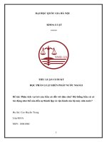 Tiểu luận: Phân tích vai trò của bầu cử đồi với dân chủ? Hệ thống bầu cử có tác động như thế nào đến sự thành lập và vận hành của bộ máy nhà nước?