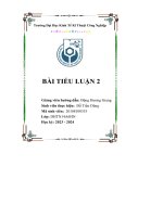 bài tiểu luận về công ty cổ phần vicem vật liệu xây dựng đà nẵng