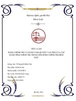 Tiểu luận: Đảng chính trị và Đảng cầm quyền? Vai trò của các đảng phái chính trị trong đời sống chính trị hiện đại?