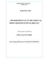 Khóa luận tốt nghiệp: Chế định pháp luật về thừa phát lại trong thi hành án dân sự hiện nay
