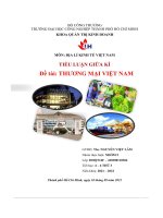 tiểu luận giữa kì đề tài thương mại việt nam