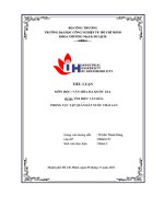 tiểu luận môn học văn hóa đa quốc gia đề tài tìm hiểu văn hóa phong tục tập quán đất nước thái lan