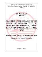 Tiểu luận: Phân tích vai trò của bầu cử với dân chủ. Hệ thống bầu cử có tác động như thế nào đến sự thành lập và vận hành của bộ máy Nhà nước
