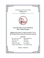 Tiểu luận: Đảng chính trị và đảng cầm quyền? Vai trò của các đảng chính trị trong đời sống chính trị hiện đại