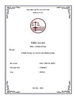 Tiểu luận: Chính trị học và vai trò của chính trị học