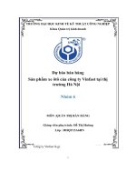 dự báo bán hàng sản phẩm xe ôtô của công ty vinfast tại thị trường hà nội